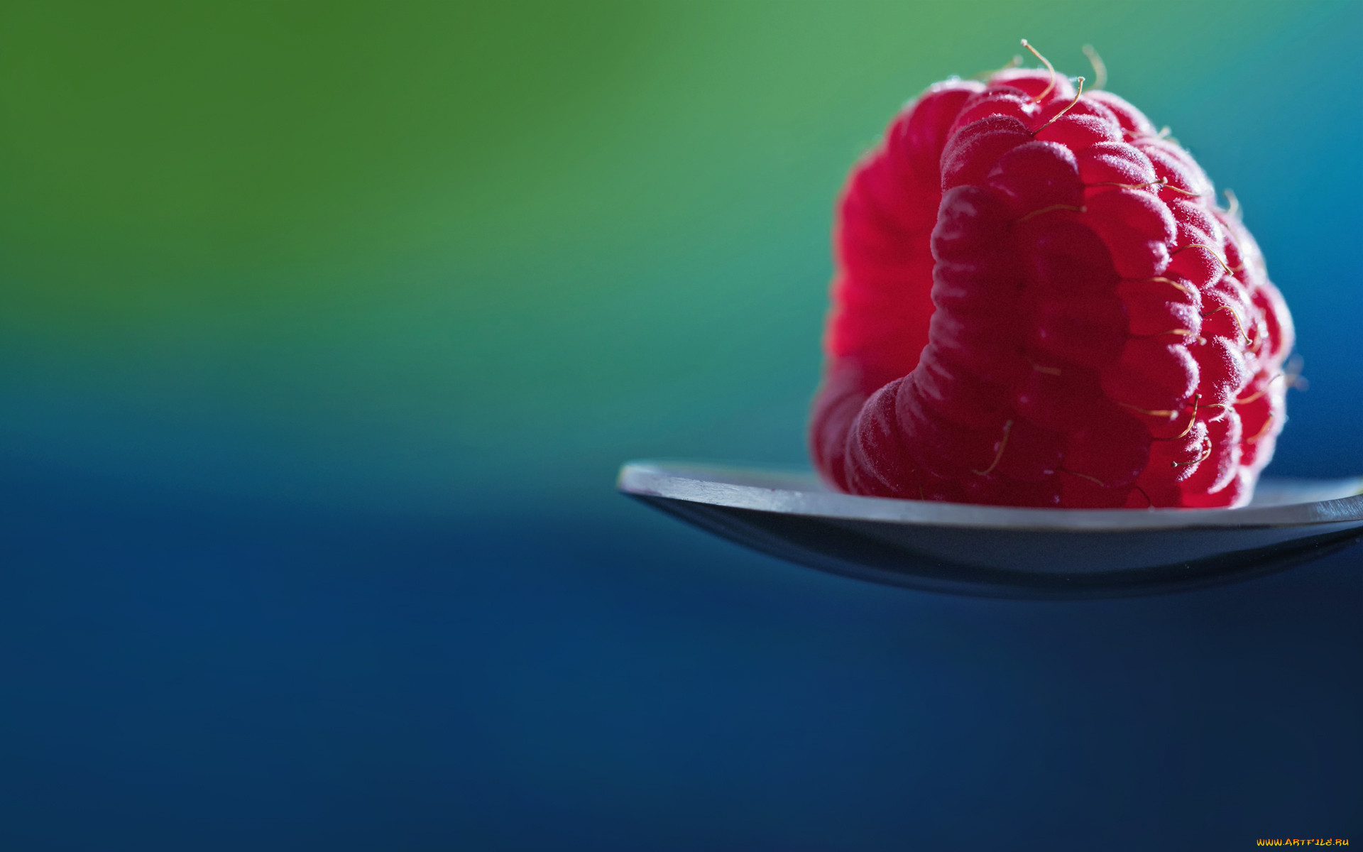 , , , 